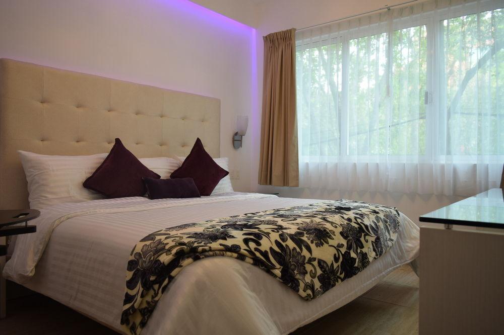 Hotel Condesa 185 Meksika Dış mekan fotoğraf