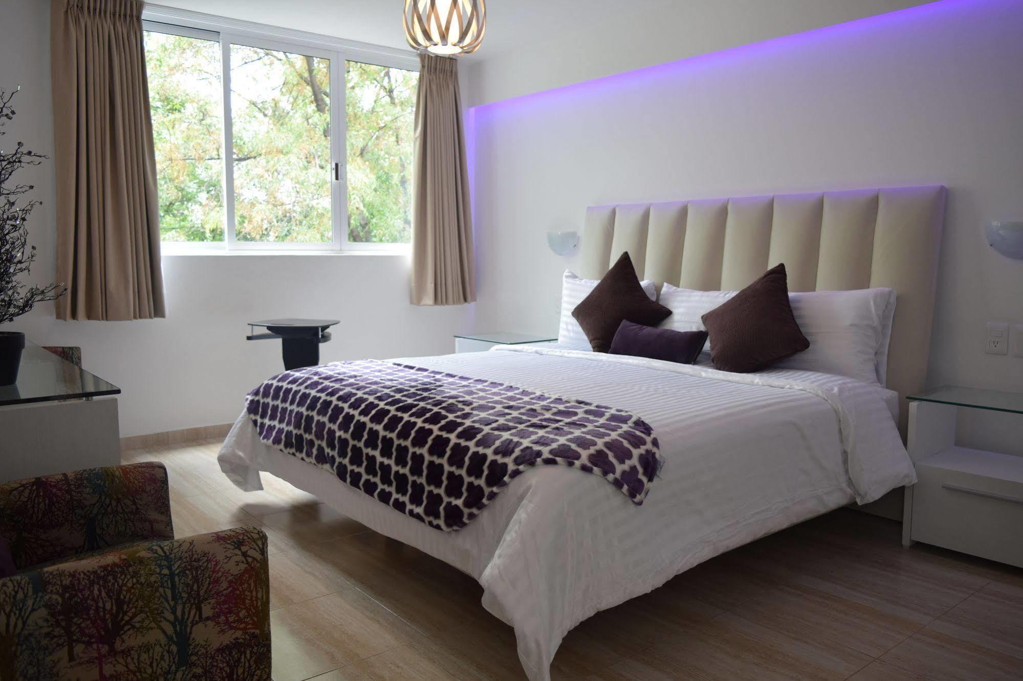Hotel Condesa 185 Meksika Dış mekan fotoğraf